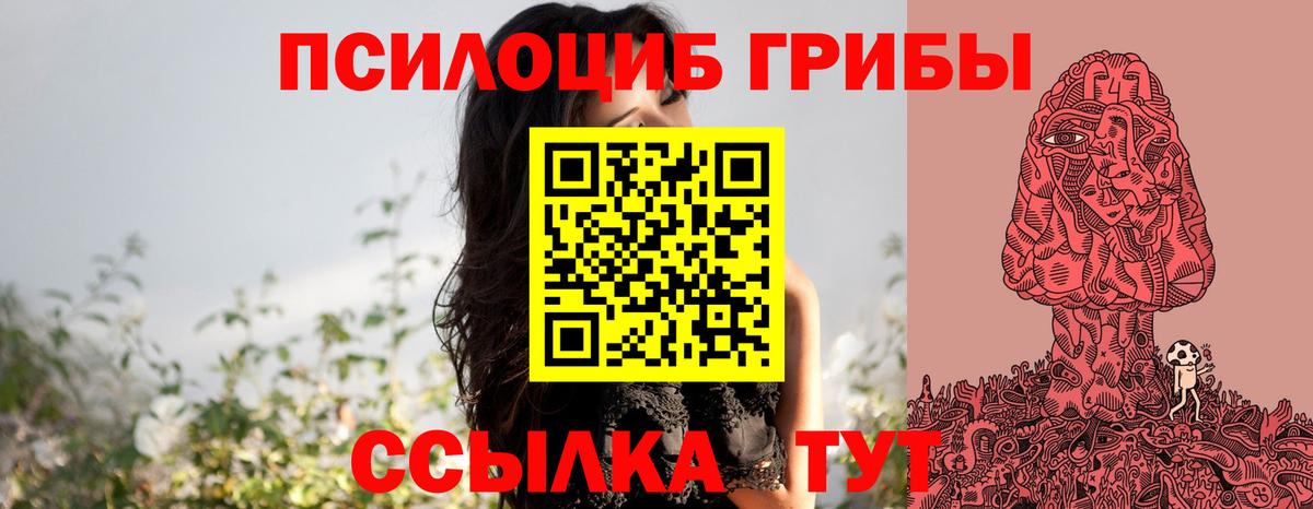 закладки  Вход с VPN  Севастополь  Галлюциногенные грибы Cubensis 